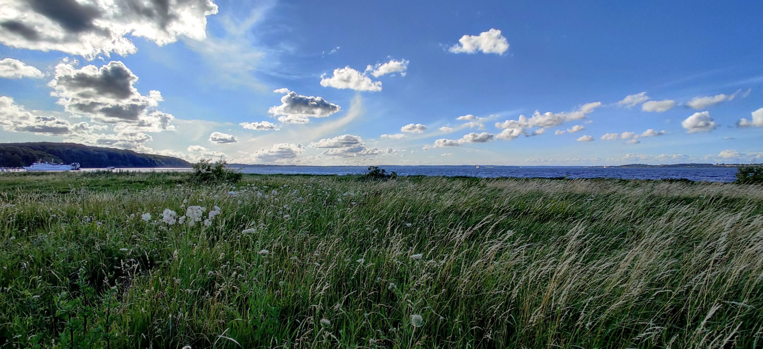 Headerbild: Gras, Wolken und Meer in Langballigau